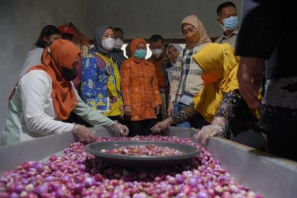 Kementan Dorong Penumbuhan UMKM Hortikultura Tingkatkan Nilai Tambah Bawang Merah