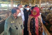 Kementan Ajak Peternak Kembangkan Korporasi Demi Dongkrak Nilai Produksi