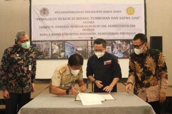 Lindungi TSL, Barantan dan Gakkum LHK Teken Kerja Sama