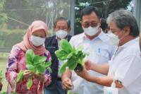 Kementan Dorong Urban Farming di Lahan Perumahan 