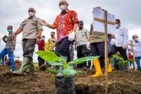 Pemerintah Upayakan Pisang Cavendish Bener Meriah Tembus Timur Tengah
