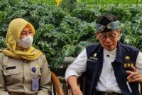 Menjanjikan, Kementan Dukung Petani Kembangkan Teknik Hidroponik