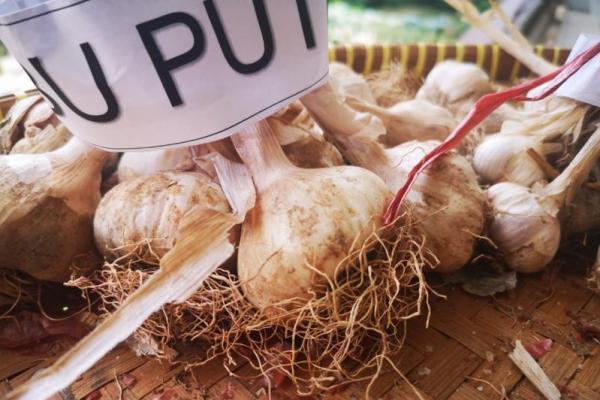 Aseibssindo: RIPH Masih Diperlukan untuk Keamanan Pangan Indonesia