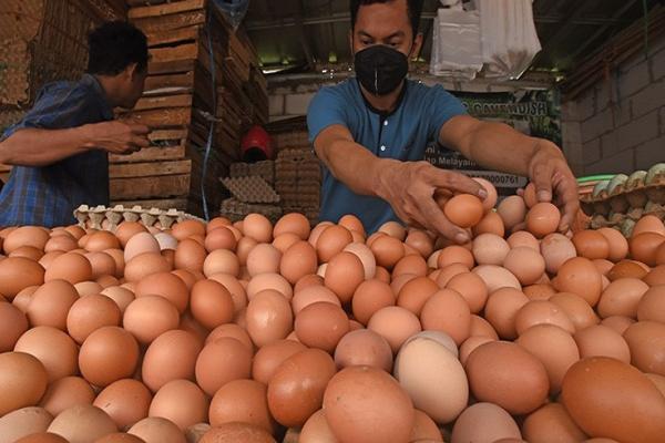 Bapanas: Kenaikan Harga Telur dan Daging Ayam Tak Terbendung
