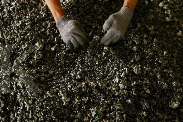 Kalah Gugatan Nikel di WTO, Pemerintah Tidak Mencabut Kebijakan