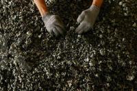 Kalah Gugatan Nikel di WTO, Pemerintah Tidak Mencabut Kebijakan