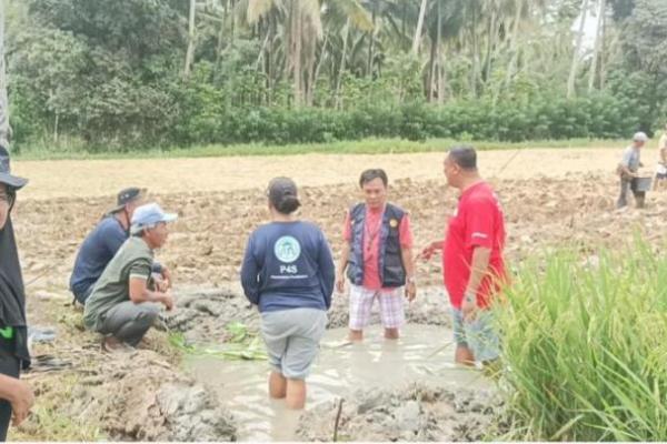 Pakar Nlai Pertanian RI Berkembang Baik