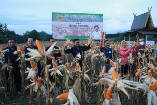 Panen Jagung di Kalsel, Mentan SYL Dorong Pertanian Jadi Penguat Ekonomi Negara