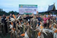 Panen Jagung di Kalsel, Mentan SYL Dorong Pertanian Jadi Penguat Ekonomi Negara