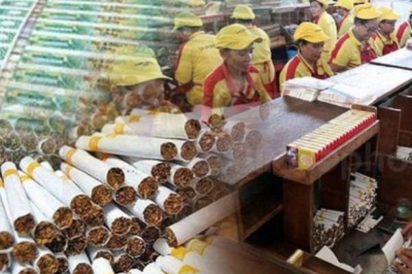 Alasan Pelaku IHT Minta Kenaikan Cukai Rokok Ditunda