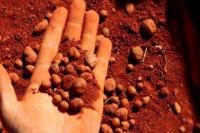 Begini Hitung-hitungan Pemerintah Stop Ekspor Bijih Bauksit 