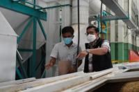 Bapanas Desak Bulog Keluarkan Stok Beras dari Gudang