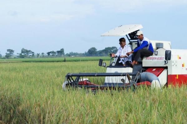 KTNA Kabupaten Bekasi Pastikan Stok Beras Melimpah