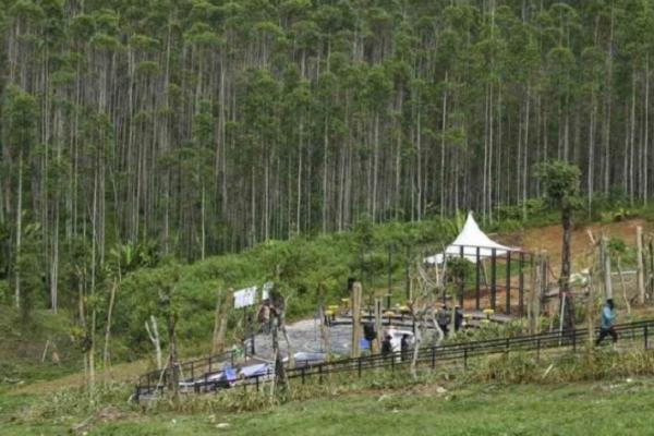 ASN Pertama Pindah ke IKN Bakal Dapat Tunjangan Tambahan