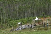 ASN Pertama Pindah ke IKN Bakal Dapat Tunjangan Tambahan