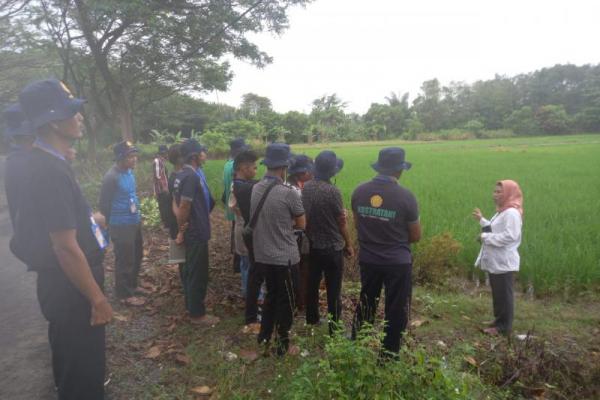 Kementan Genjot Produktivitas Lewat Pelatihan Penangkar Benih Padi