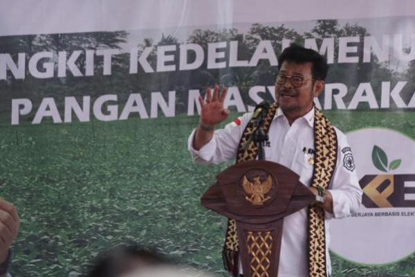  Mentan SYL Berupaya Kurangi Ketergantungan Impor Kedelai
