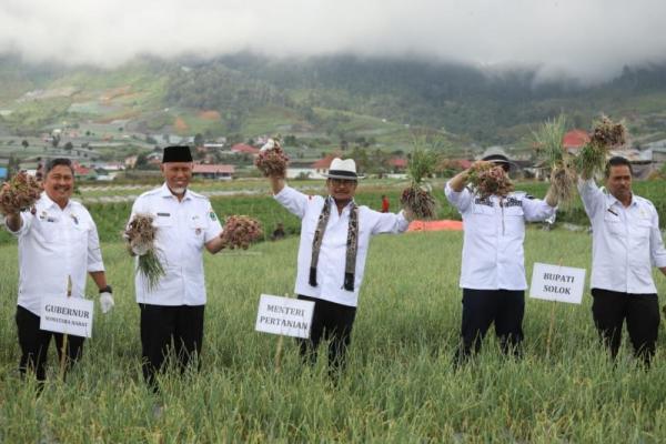 Mentan SYL Sumringah Panen Bawang Merah Petani Solok