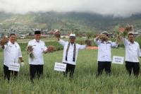 Mentan SYL Sumringah Panen Bawang Merah Petani Solok