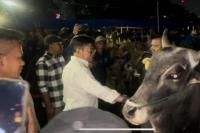 Mentan SYL Pastikan Stok Hewan Kurban Jelang Idul Adha Aman