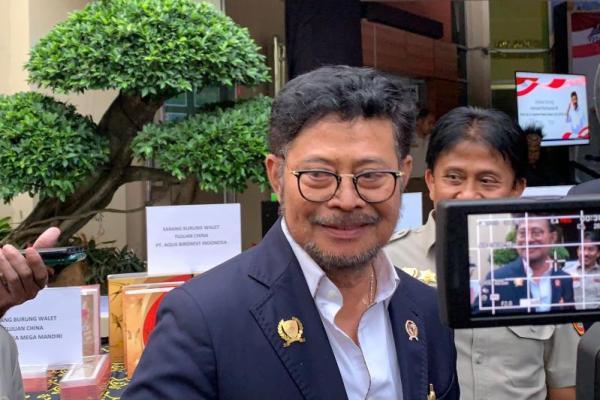 Ketersediaan Beras Nasional Dipastikan Cukup Hadapi El Nino