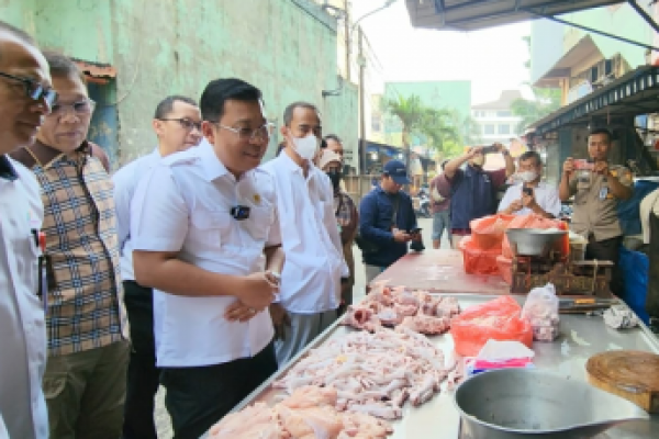 NFA Gandeng Polri Kawal Pasokan Ayam di Pasaran 