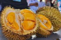 Dirjen Hortikultura Dorong Durian Parigi ke Pentas Dunia