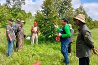 Kementan Mitigasi Dampak Perubahan Iklim dengan Kampung Durian