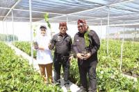 Mentan SYL Launching Nursery Modern Tanaman Perkebunan di Cianjur