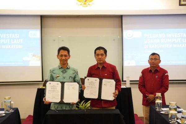 KKP Fasilitasi Investasi Usaha Rumput laut di Wakatobi