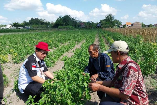 Langkah Kementan Antisipasi Dampak Ancaman El-Nino