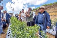 Kementan Targetkan Kawasan Ramah Lingkungan di Kabupaten Solok