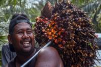 Mentan Bidik Papua Barat Jadi Contoh Hilirisasi Sawit