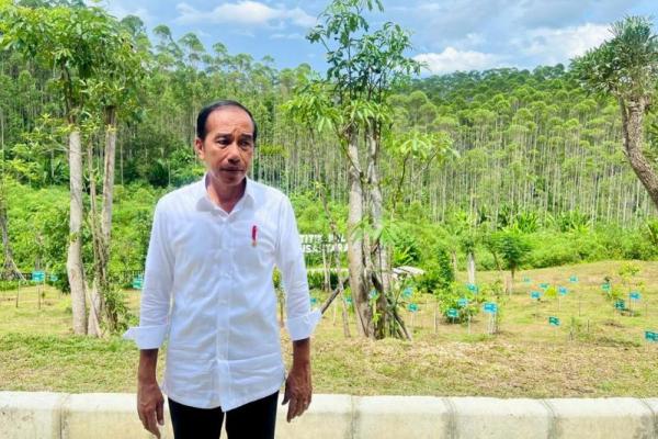 Presiden Jokowi: Pemindahan ASN ke IKN Setelah Fasilitas Siap