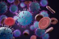 RI Waspadai Penyebaran Penyakit Virus Nipah