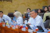 Yakinkan Investor, Pemerintah Usul Nilai Ekonomi Karbon Masuk RUU EBET