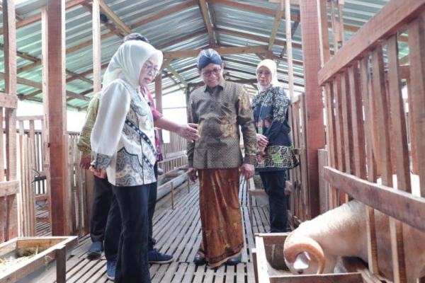 Gus Halim Apresiasi Usaha Rintisan di Kalasan Valley