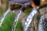 Digelar di Bali, WWF ke-10 Momentum Tunjukkan Kepemimpinan Indonesia