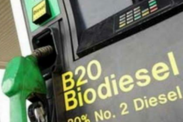 Berlaku Mulai 1 Mei, Harga Biodiesel Naik Jadi Rp12.453 per Liter