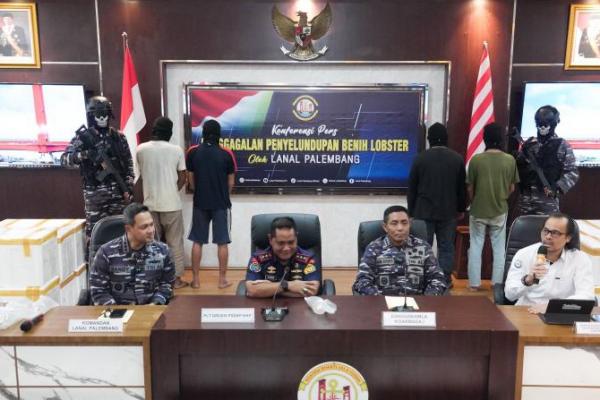 KKP Terima Puluhan Ribu Benih Bening Lobster Sitaan TNI AL