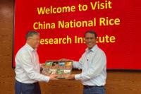 Tingkatkan Produktivitas, Kementan Kerja Sama dengan Lembaga Riset China