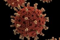 Bakteri Pemakan Daging Merebak di Jepang, Indonesia?