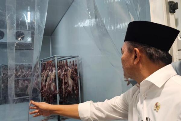 Menko PMK Pastikan Izin Pengiriman Daging Dam Sudah Siap