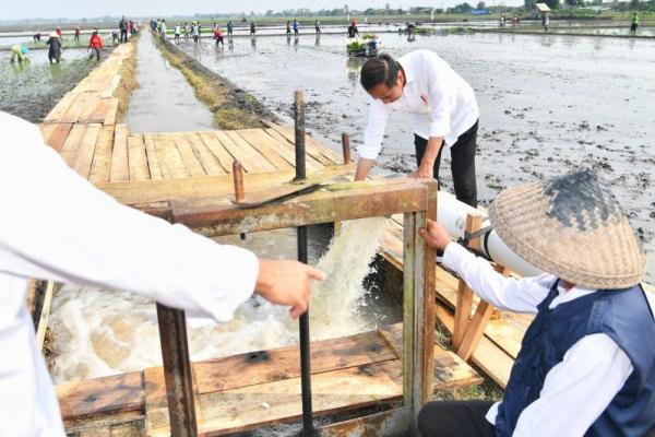 Kunjungi Lampung, Jokowi Sebut Program Pompanisasi Berjalan Baik