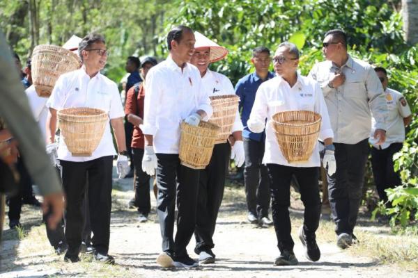 Presiden Jokowi Dorong Mentan Perhatikan Komoditas Kopi