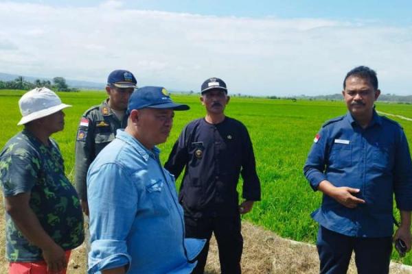 Kementan Dorong Pompanisasi hingga Pelestarian Burung Hantu