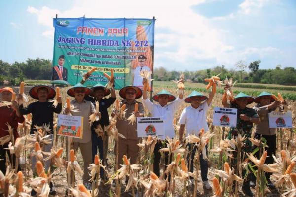 Menko Muhadjir Minta Pemda Kendalikan Harga Jagung