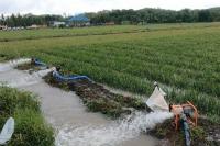 Kementan Pastikan Pompanisasi Berdampak Positif pada Produksi Padi