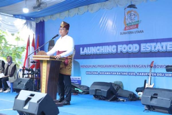 Darurat Pangan, Wamentan Minta Pengoptimalan Lahan Tidur