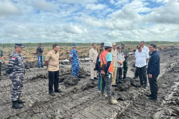 Mentan Yakin Merauke Mampu Jadi Lumbung Pangan Dunia